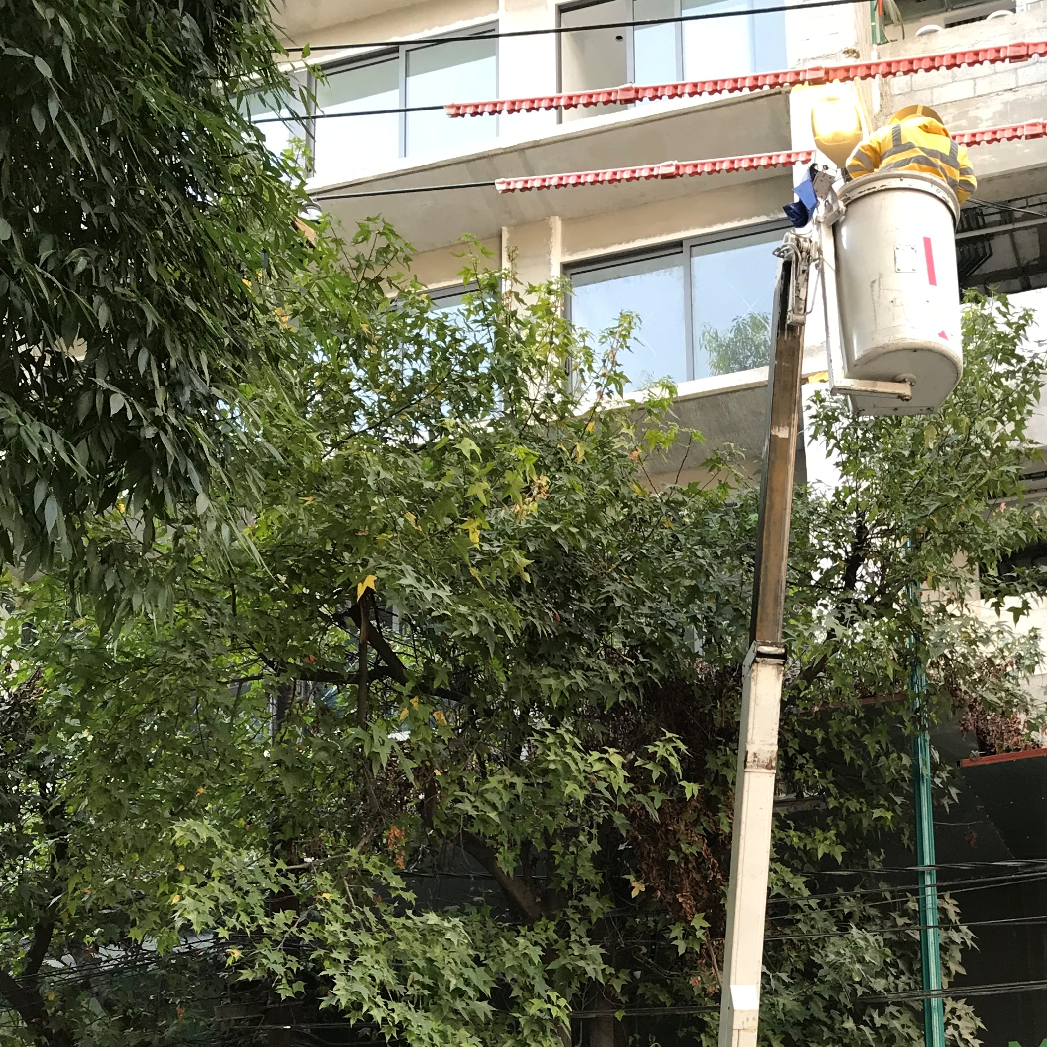 Proyecto eléctrico